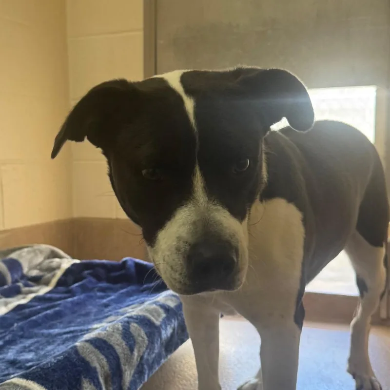 Jennifer thumbnail 2