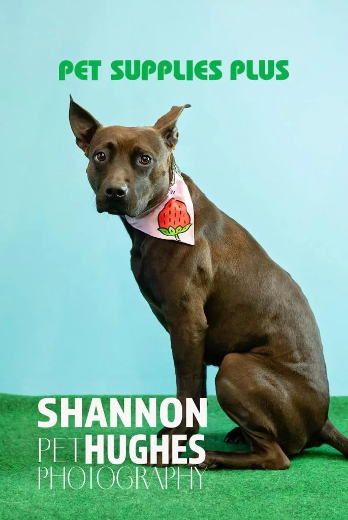 Midnight thumbnail 4