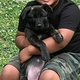 Cooper