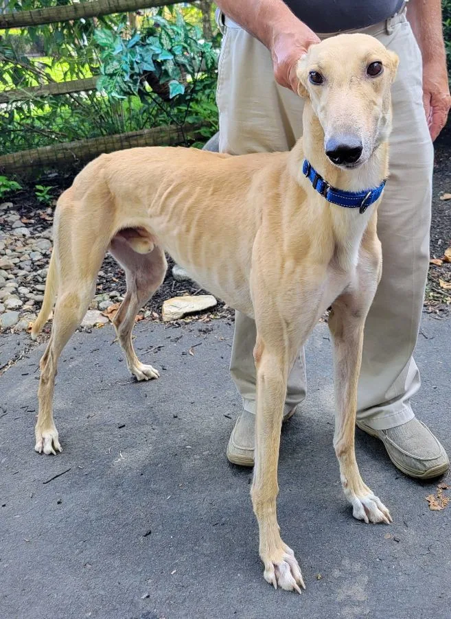 Pch Get To You thumbnail 2