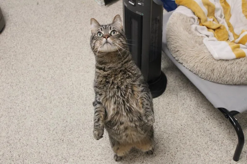 Randall Boggs thumbnail 3