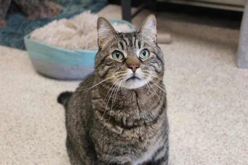 Randall Boggs thumbnail 4