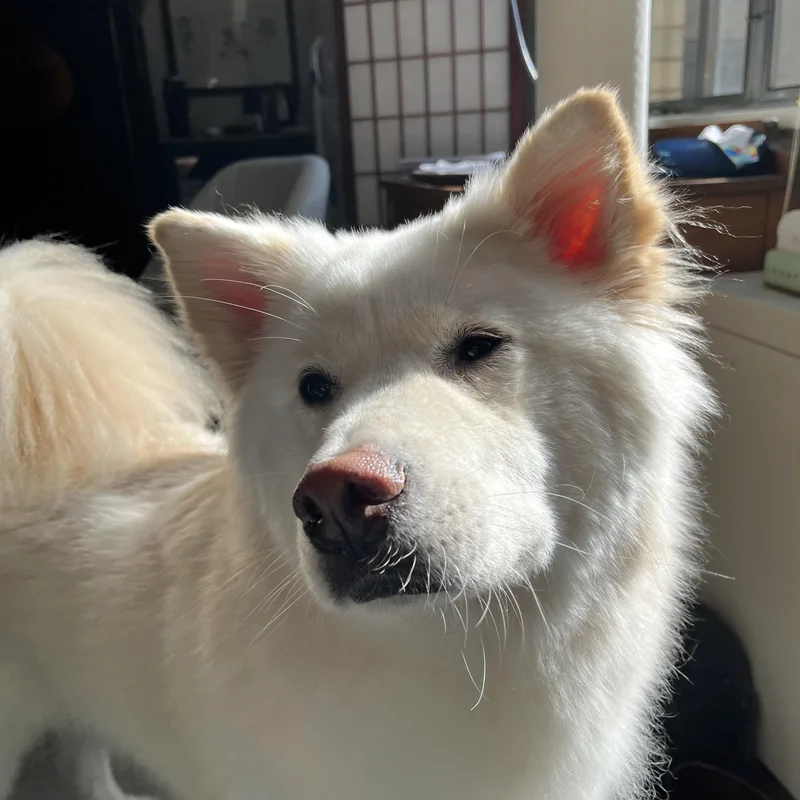 Casper thumbnail 2