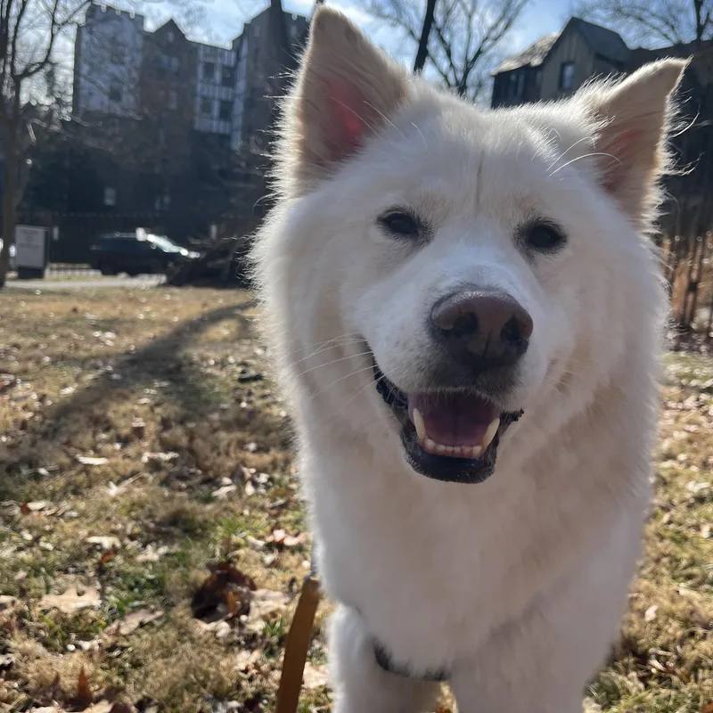 Casper thumbnail 5