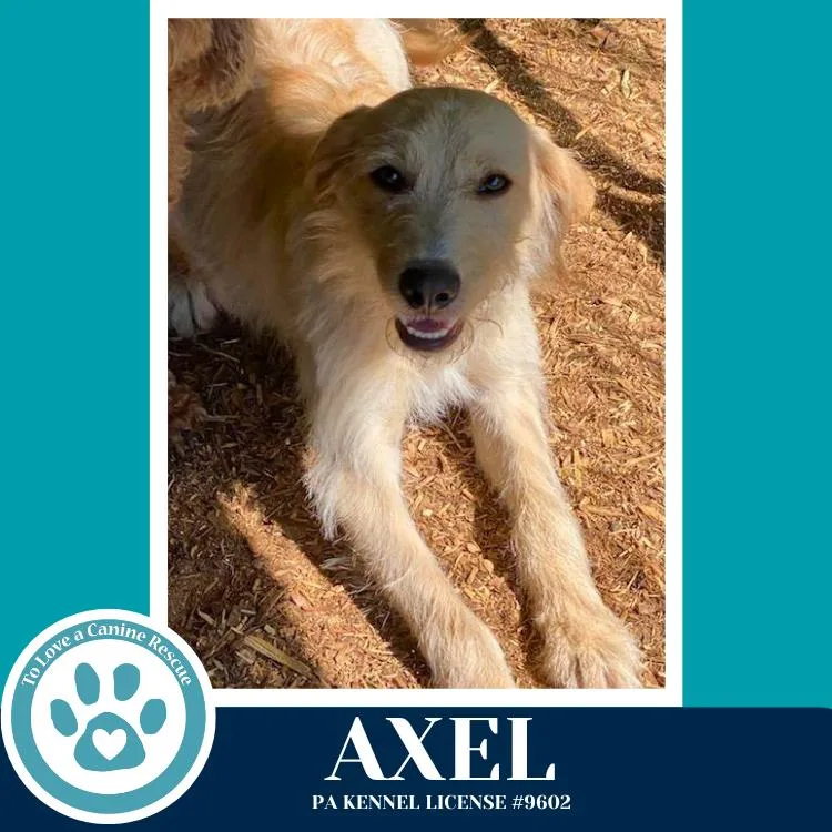 Axel