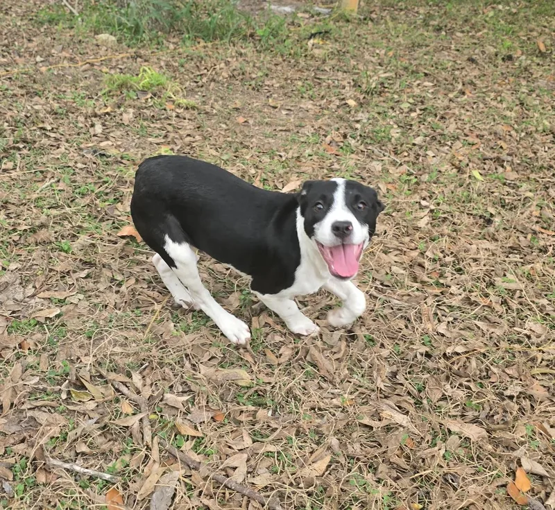 Juliette thumbnail 2