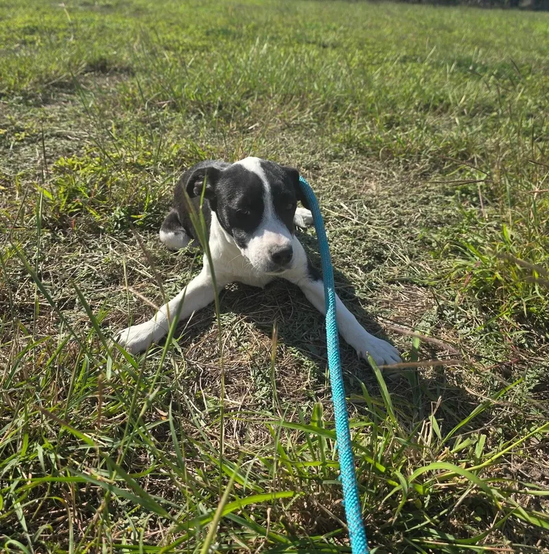 Juliette thumbnail 3