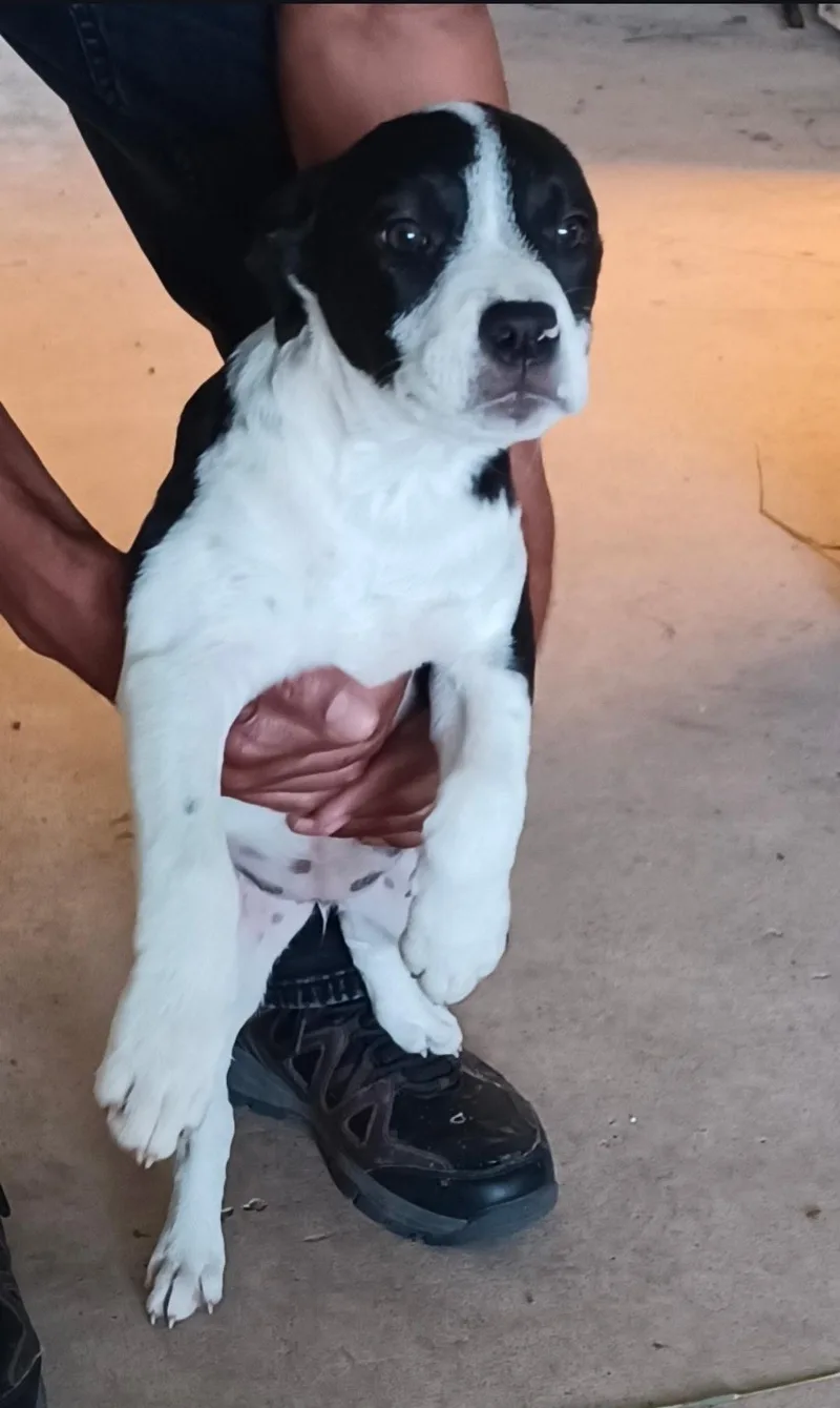 Juliette thumbnail 5