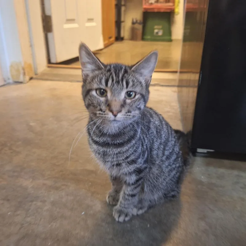 Sebastian thumbnail 2