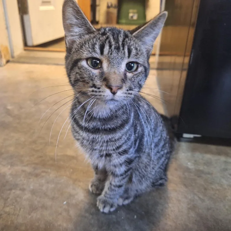 Sebastian thumbnail 3