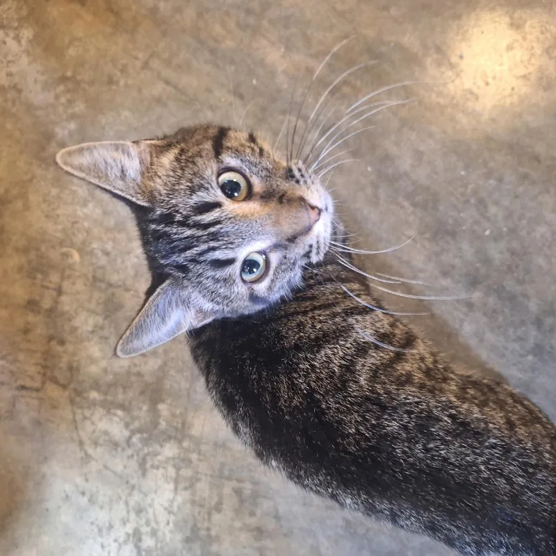 Sebastian thumbnail 4