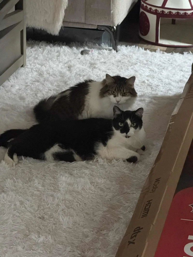 Baby and Momma thumbnail 5