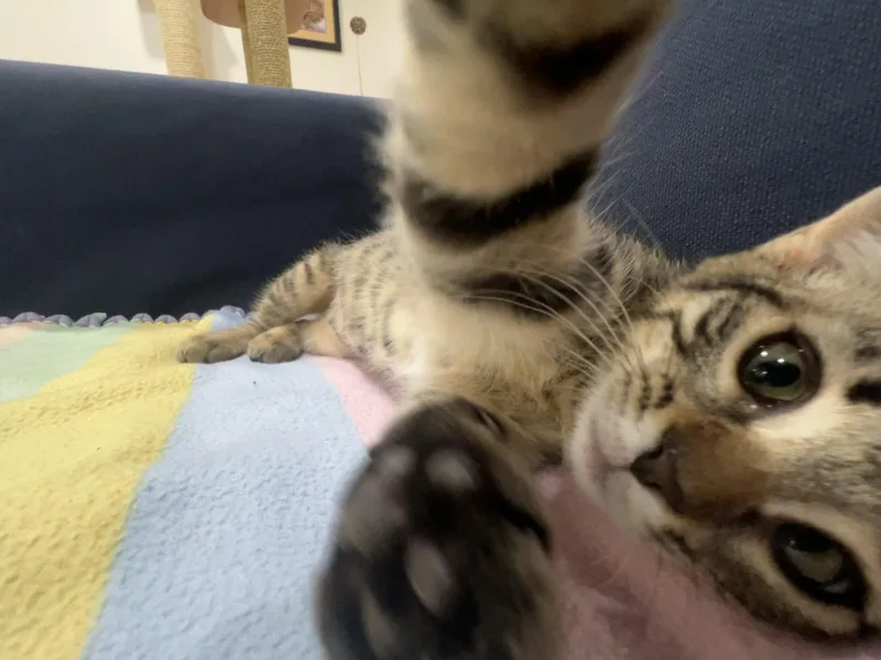 Breezy Video At End! thumbnail 2