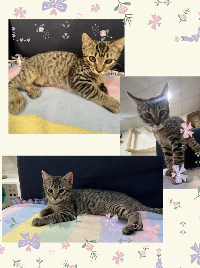 Breezy Video At End! thumbnail 3