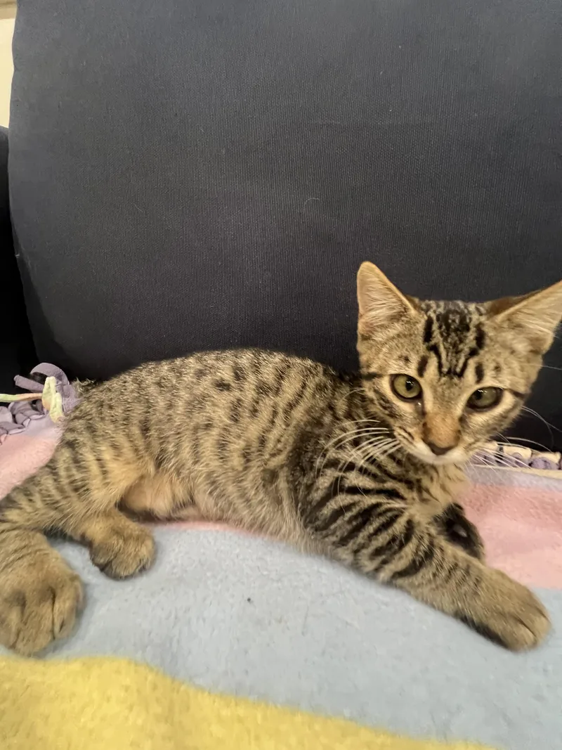 Breezy Video At End! thumbnail 4