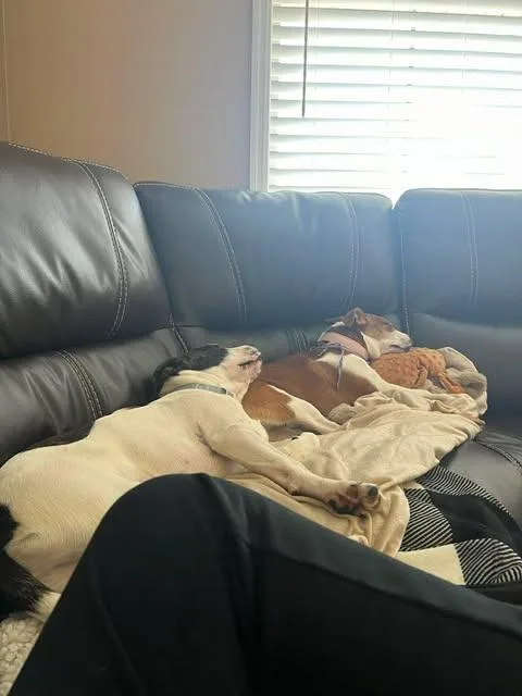 Hera & Hercules thumbnail 2