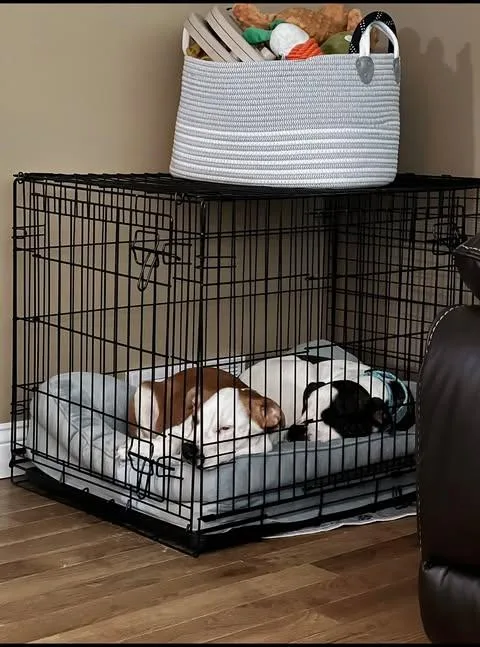 Hera & Hercules thumbnail 5