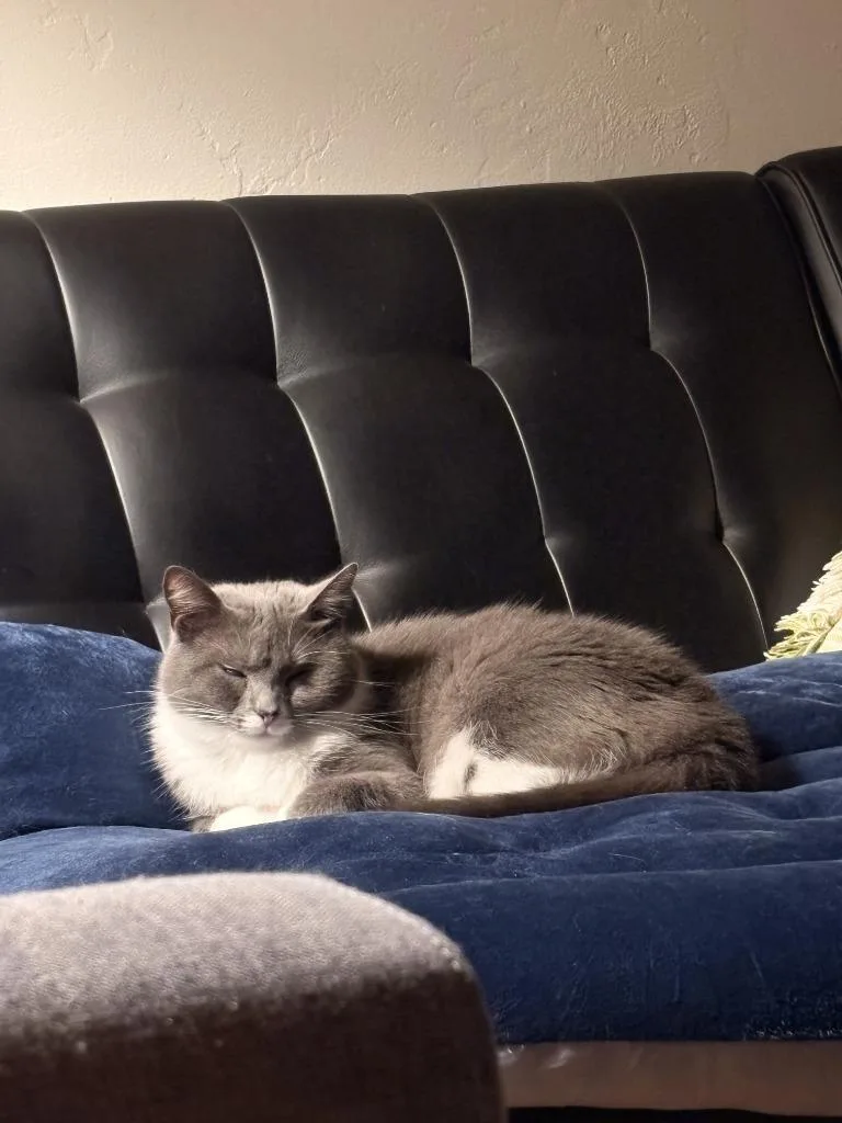 Holy Smokes thumbnail 2