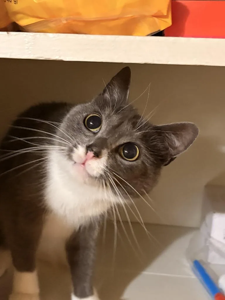 Holy Smokes thumbnail 3