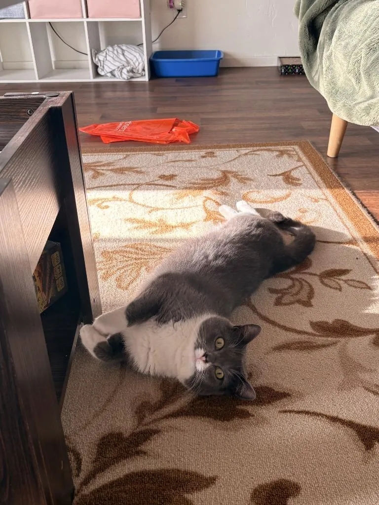 Holy Smokes thumbnail 4