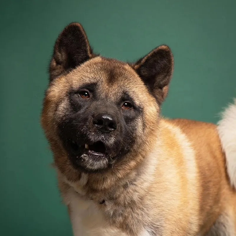 Grimswick thumbnail 2