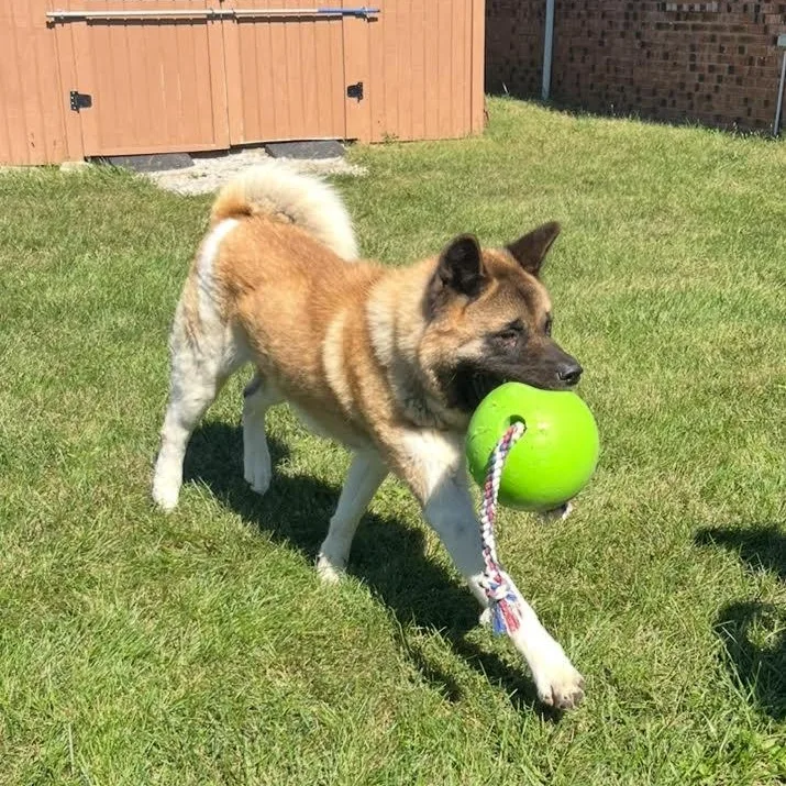 Grimswick thumbnail 3