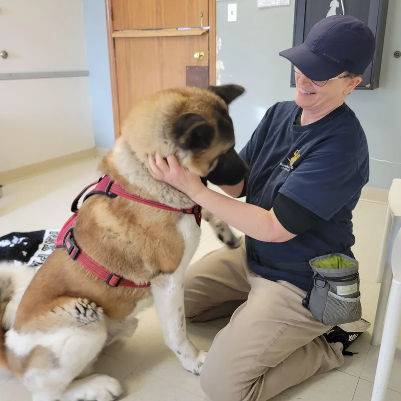 Grimswick thumbnail 4