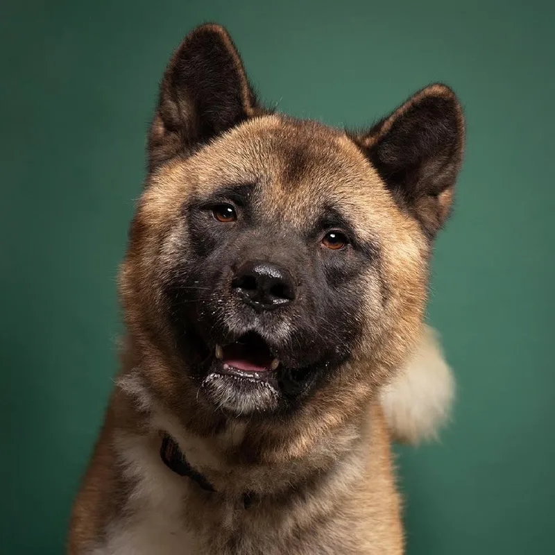 Grimswick thumbnail 5