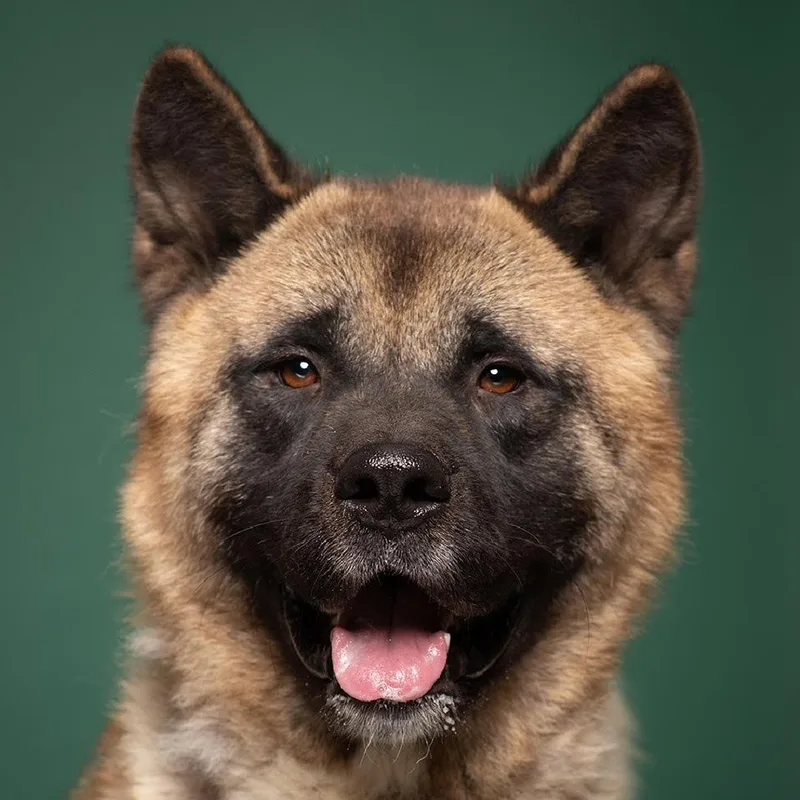 Grimswick thumbnail 6