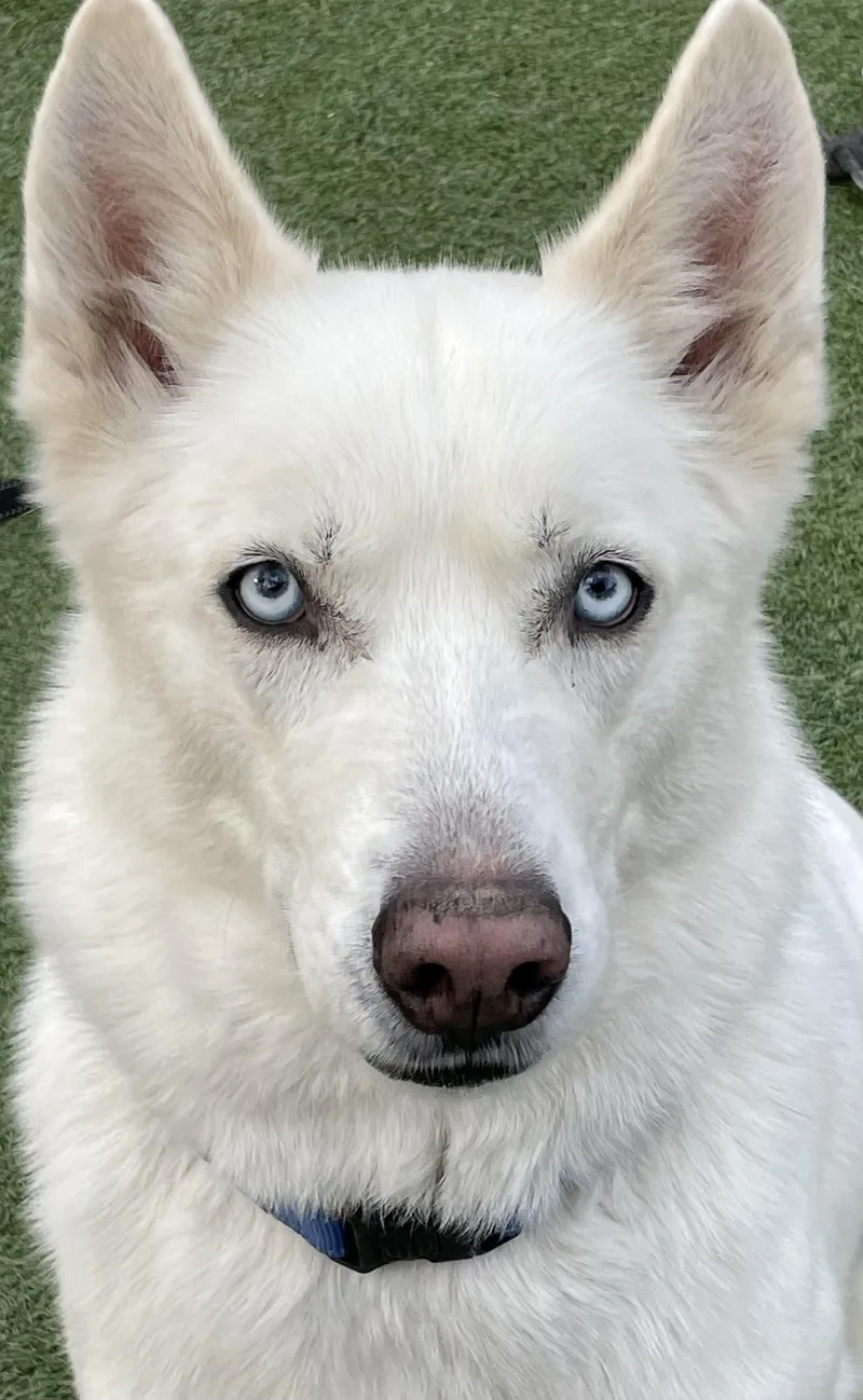 Sam