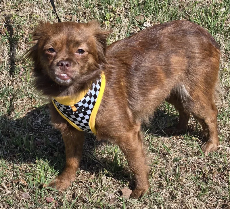 Coco   $ thumbnail 2