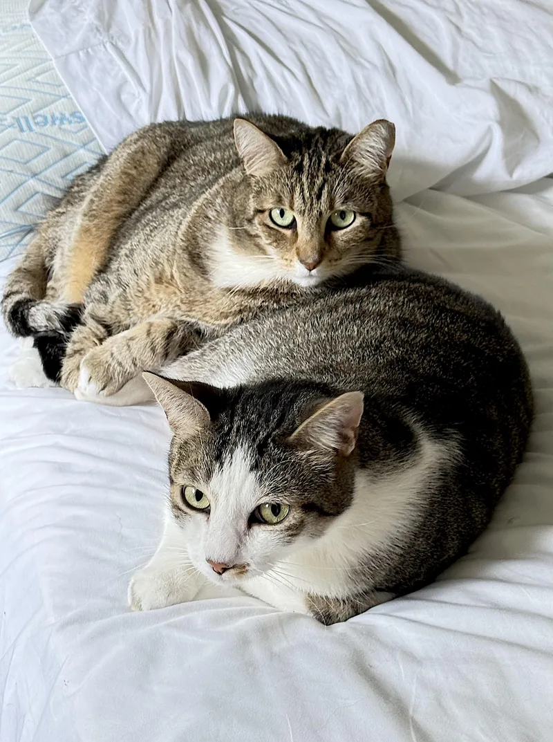 Daisy and Duke thumbnail 3