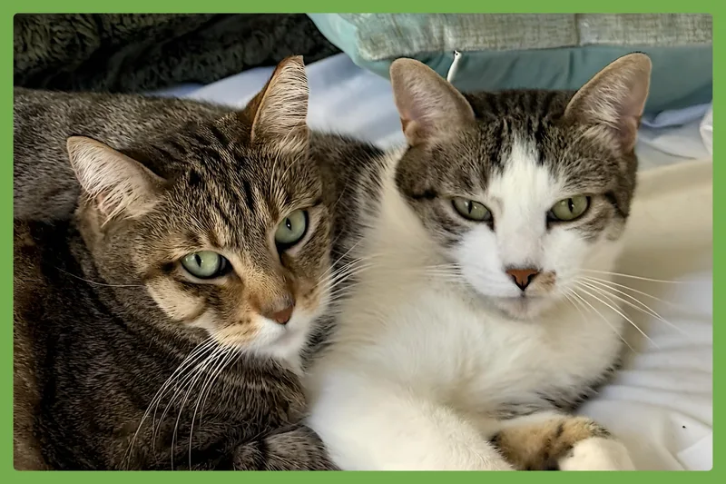 Daisy and Duke thumbnail 4