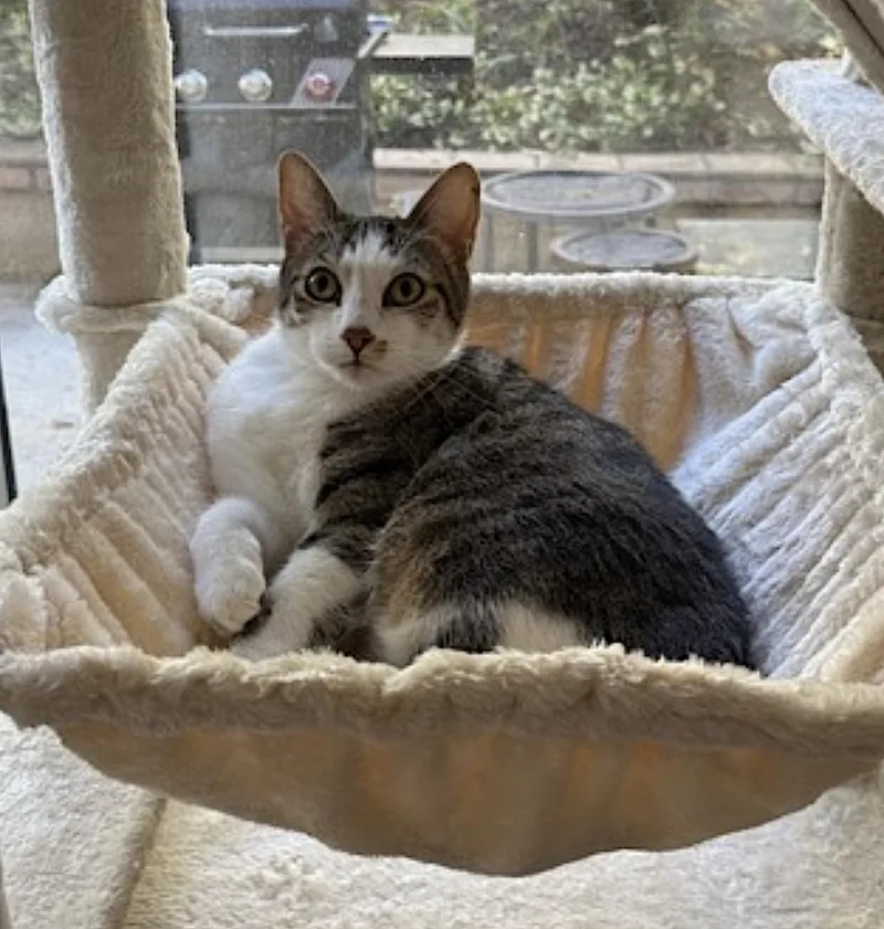 Daisy and Duke thumbnail 5