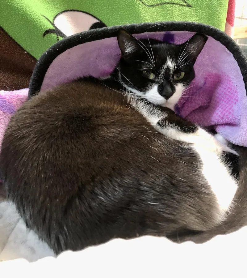 Lucille K thumbnail 5