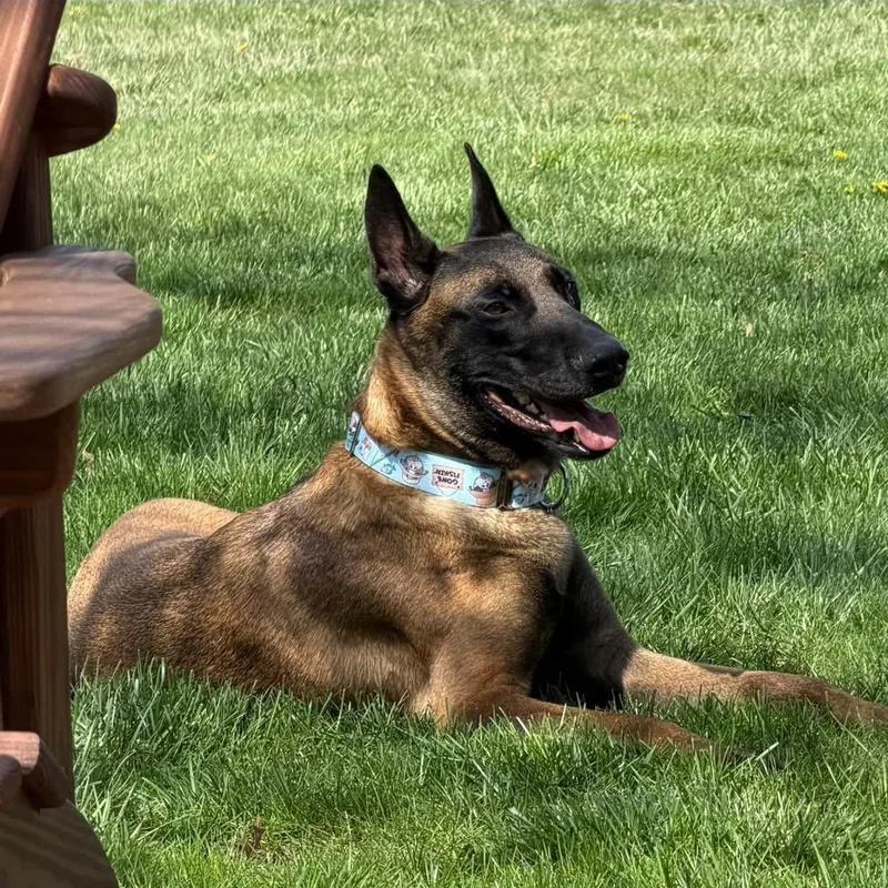 Ares