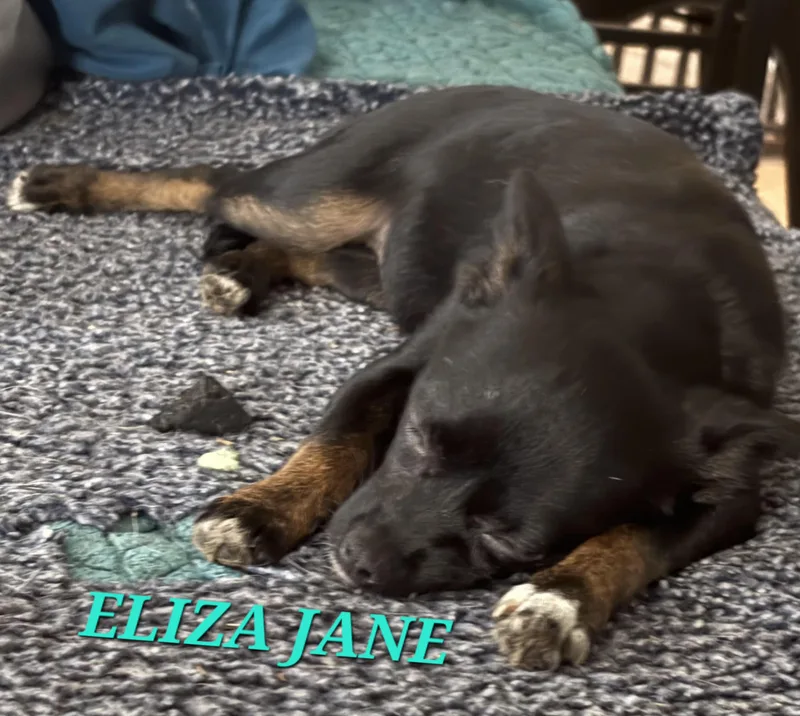 Eliza Jane thumbnail 2