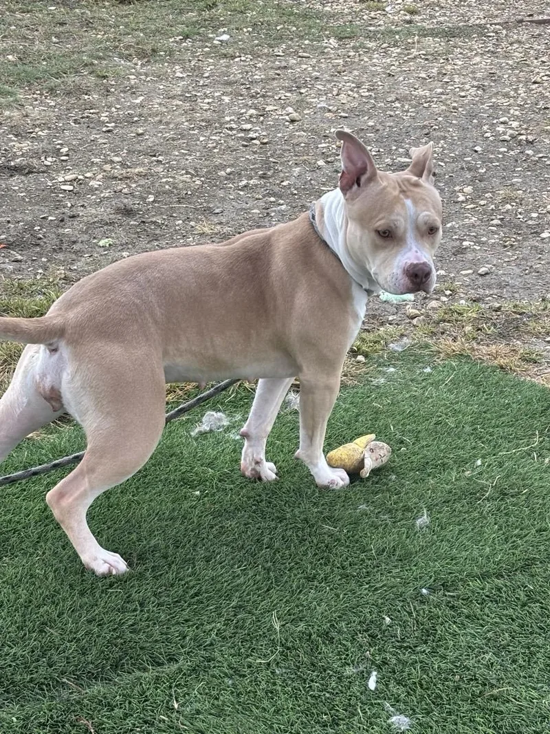 Hannah Banana thumbnail 2