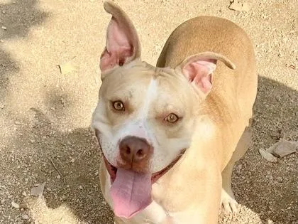 Hannah Banana thumbnail 3