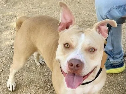 Hannah Banana thumbnail 4