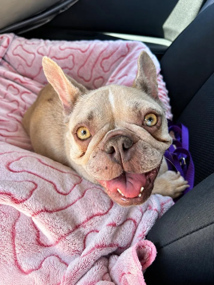 Blondie Mae thumbnail 3
