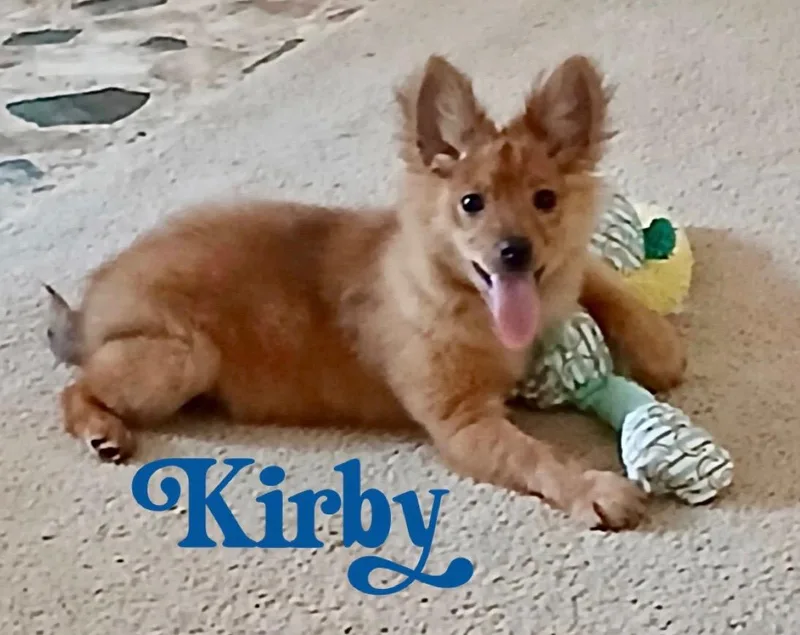 Kirby thumbnail 2