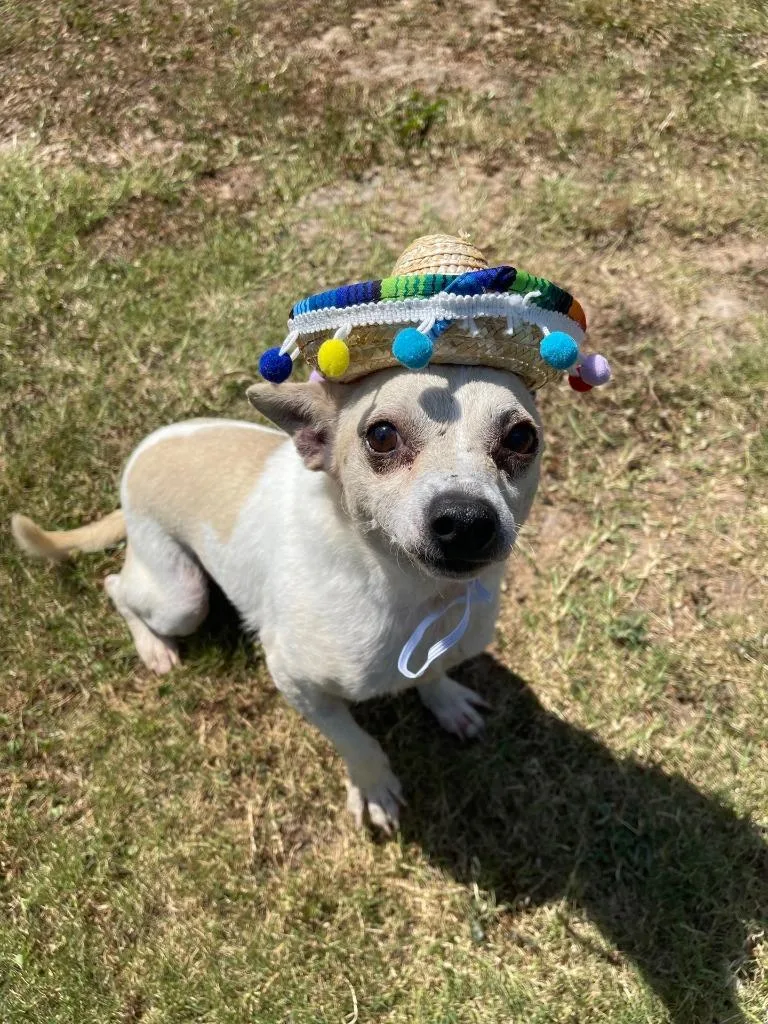 Frito