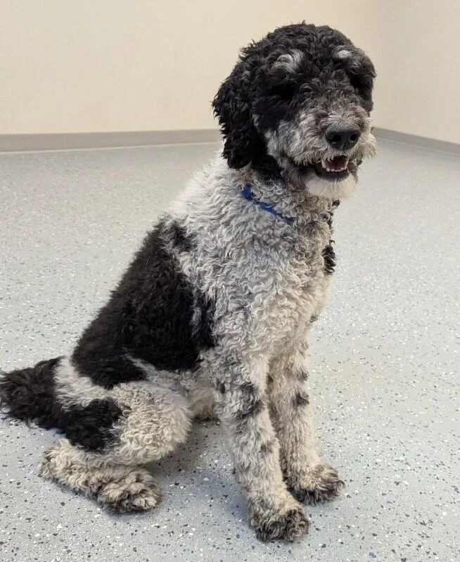 Clementine thumbnail 2