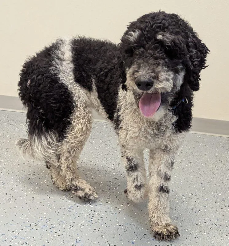 Clementine thumbnail 4