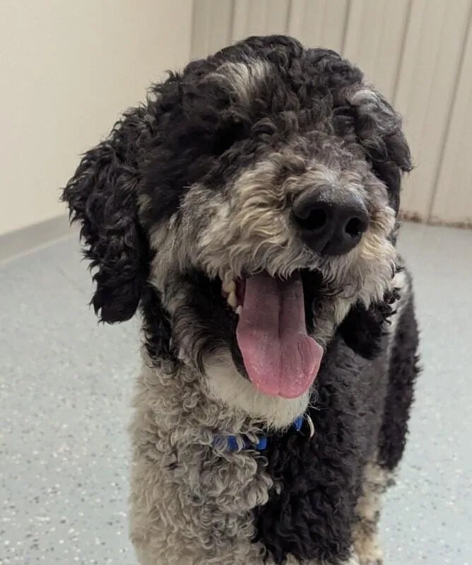 Clementine thumbnail 6