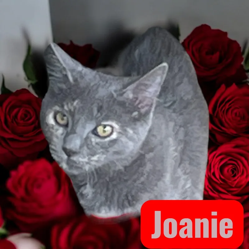 Joanie