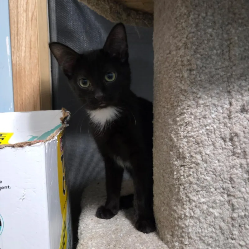 Malcolm & Olivia thumbnail 2