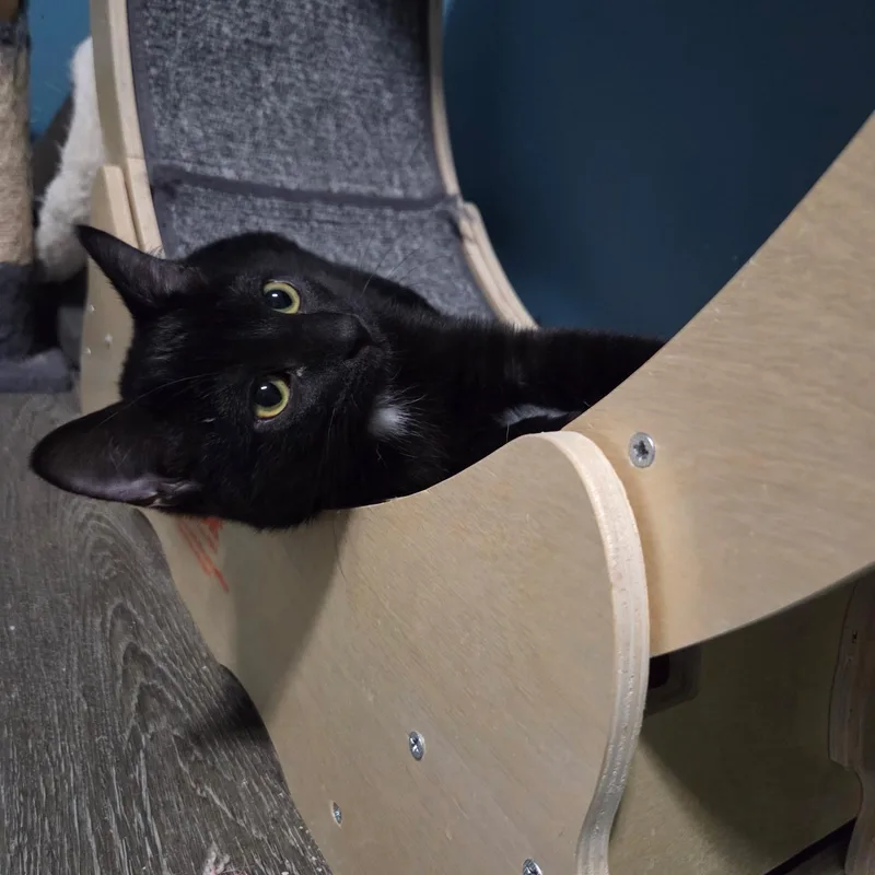 Malcolm & Olivia thumbnail 3