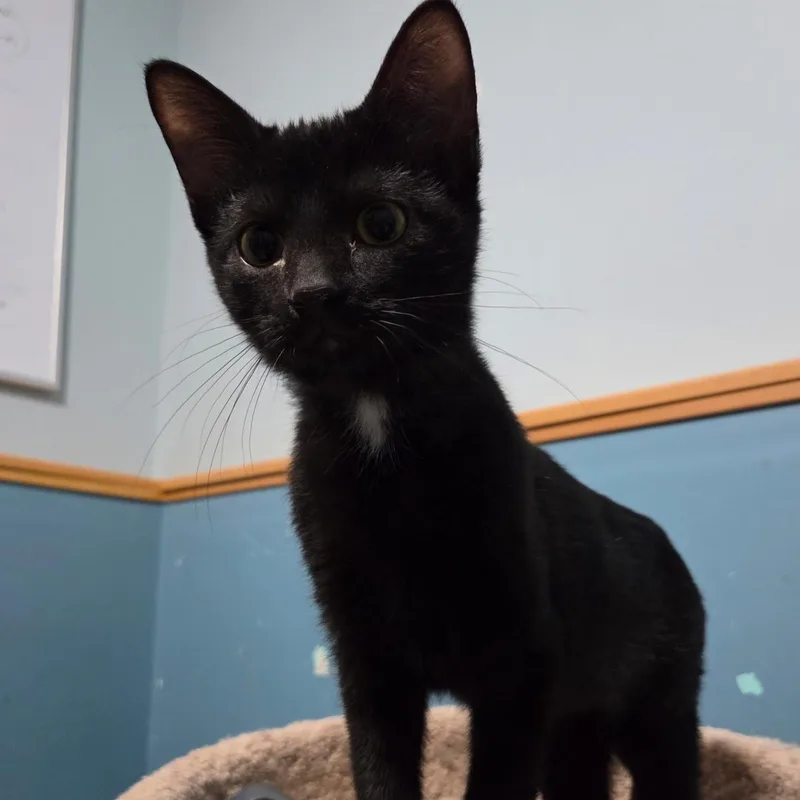 Malcolm & Olivia thumbnail 5